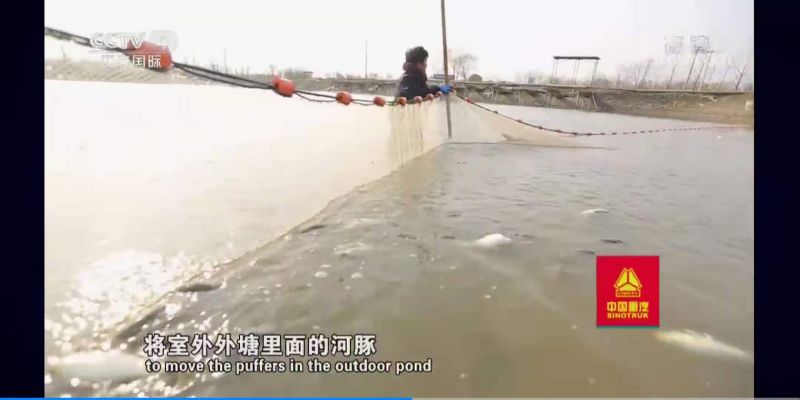 更多產(chǎn)品