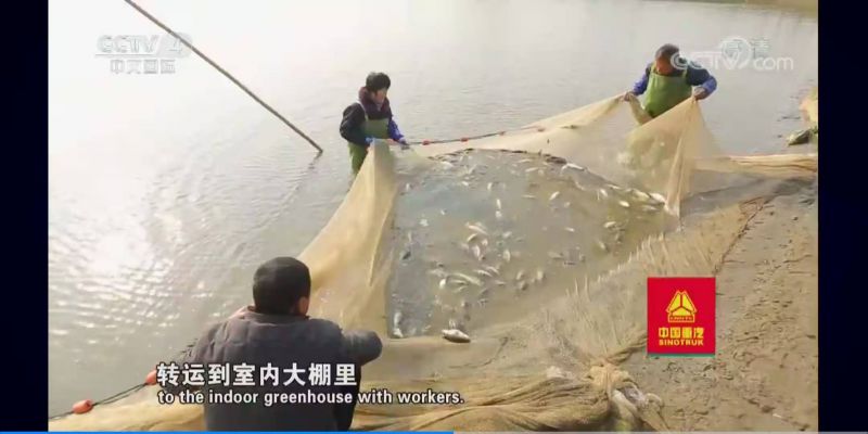 更多產(chǎn)品
