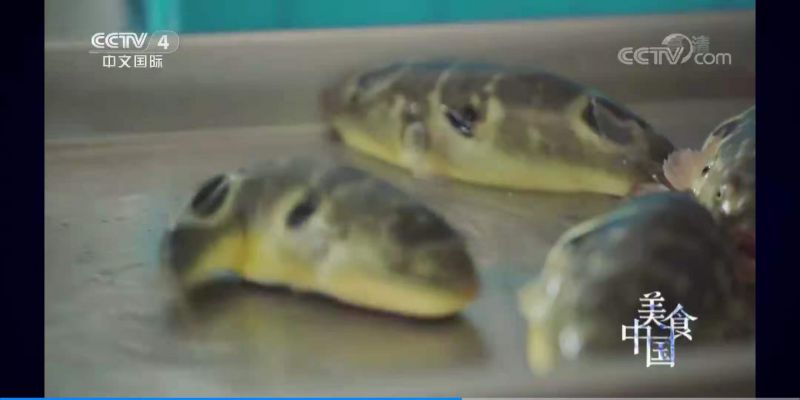 更多產(chǎn)品