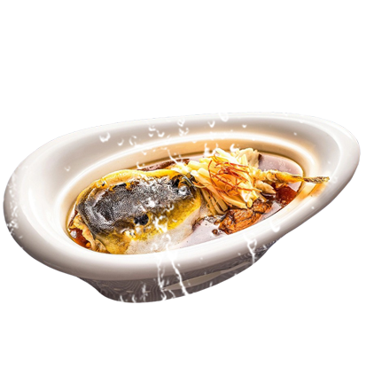 無(wú)毒河豚怎么養(yǎng)殖